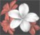 New posts [ Locked ]