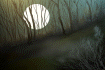 New posts