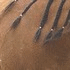 New posts